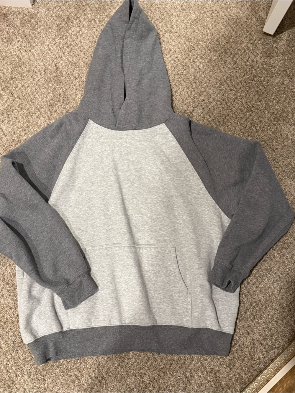 Aritzia Sweatfleece Mega Colorblock Hoodie